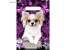 ����� "����������", �������������� � �������� ������, 30�20 ��, 30 ��� 1,7��� ��� 100�� ���������� ������ 10��