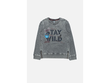 20110100090   Menudo        (   ).jpg