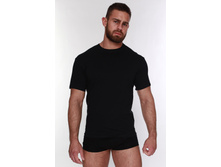 TMF108 �������� �������