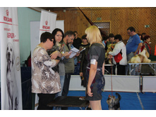 IMG 4172.JPG