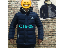 251.jpg-----------------220