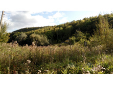 IMG 20170924 135113.jpg