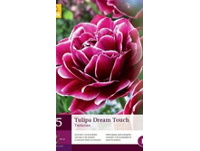 313.535, Tulipa Dream Touch, 5 �� � ��������, 354���+13%, 1 ��.jpg