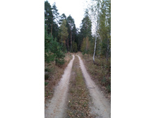 IMG 20170930 141928.jpg