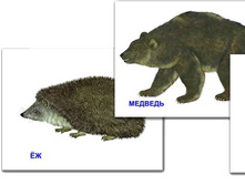 ������ ���������������� �������� ����� ��������-1 - 118,18 ���