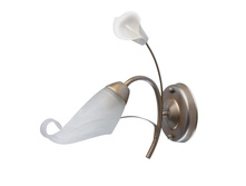 242026601 965�.jpg