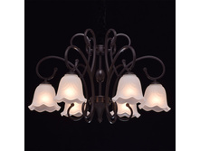 444011206 6800�.jpg