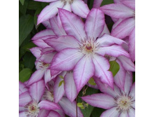 �������� ��������������� ��� (V2�.).jpeg