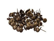 35,56 ���. - ������ ��������� ��������� �����. 100��, 167��, ������