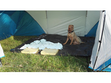 IMG 20170913 155251.jpg