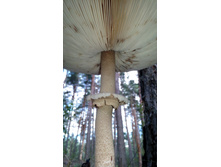 IMG 20170910 101122.jpg