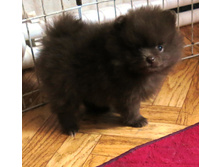 ����� 012.JPG