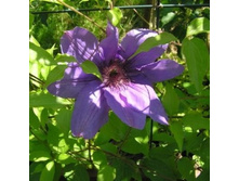 �������� ��������������� �������� ��������� (V2�.).jpeg