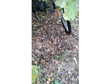 IMG 20170930 104402.jpg