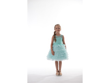 0-02-05-703fdf6c54a34c04cc19ca3dc94c69ab980c77587c44effeb37c37a297b621c4 full.jpg