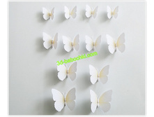 .���. ���� ������2.jpg