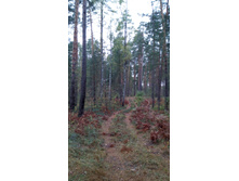 IMG 20170930 095233.jpg