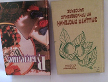 IMG 7549.JPG