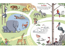 ��������� ����������� ��� �������,3.jpg