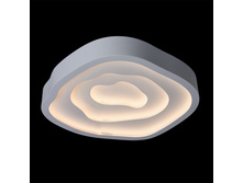 668010203 23900�.jpg