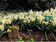 ������� ������������ ���. ����2.jpg