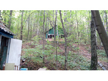 IMG 20170924 133732.jpg