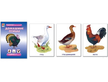 ������ ���������������� �������� �������� ����� - 118,18 ���