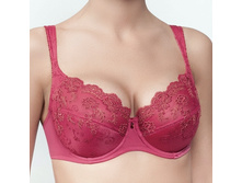 623217 ��������, ���� 1901 ���