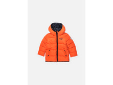 20120130099   Severino   ���������(���).jpg