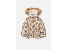 20220130110   Apus   �������(���).jpg