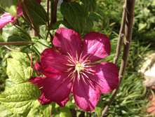 �������� "���� �� ����"