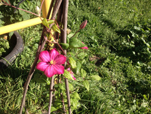 �������� "���� �� ����"