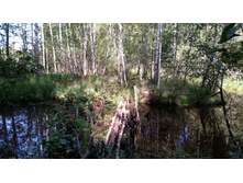 IMG 20170901 104354.jpg