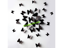 ������ ���������� ������.jpg