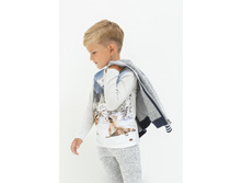 20120100101   Fion   ������-�����(������).jpg