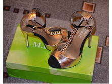 ������� ���������.jpg