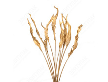 9836 ������ ��������� �� 85 �� 90 �� 10 �� � �������� (�������) 329� — �����.jpg