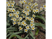 ������� ������������ ���. ����.jpg