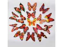 ������������ 6 �������.jpg