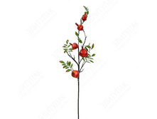 ��005413 ����� ������� �� ����� (�������) 516���..jpg