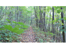 IMG 20170924 132820.jpg