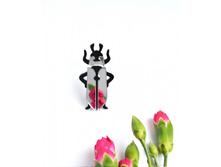 ����� ��� �����-����������