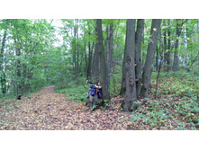 IMG 20170924 133811.jpg