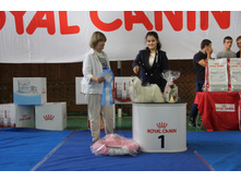 IMG 4343.JPG