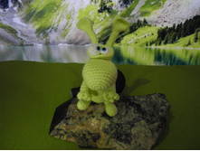 ��������, 1100 ������