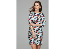 1695 �. DSP-249-49