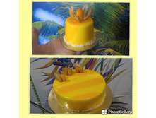 181560890-20170812 113437 — �����.jpg