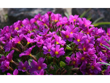 ������� ���� 100�...jpg