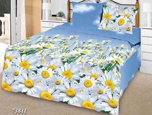 ������������ ����� 73811.jpg