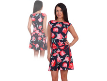 ������ 1009. ..JPG